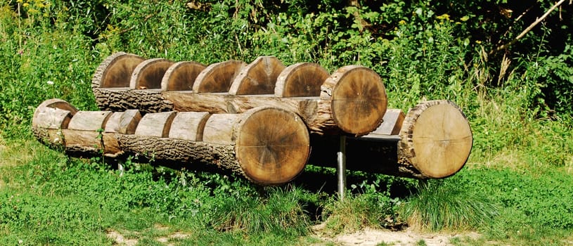 The tree trunk as a table and bench