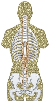 Skeleton - Metal