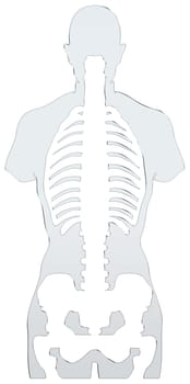 Skeleton