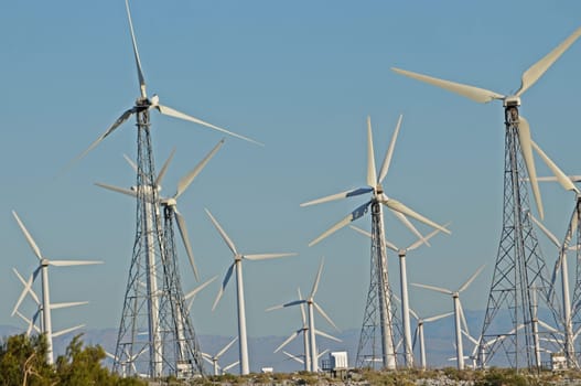 wind turbine field 4