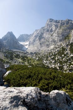 Stones and mountain forest in the Berchtesgaden National Park - View of the Blue Ice Glacier