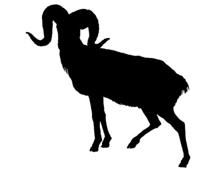 The black silhouette of a ram