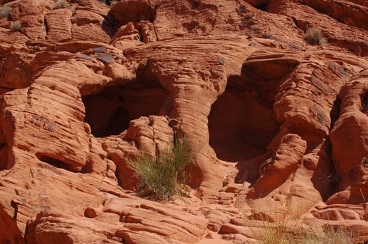 Valley of Fire
