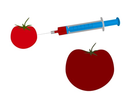 Genetically modified tomato