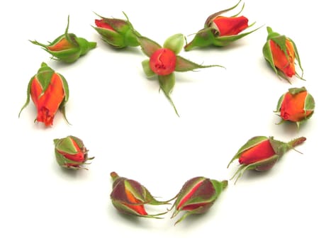 Rosebuds arranged as a heart