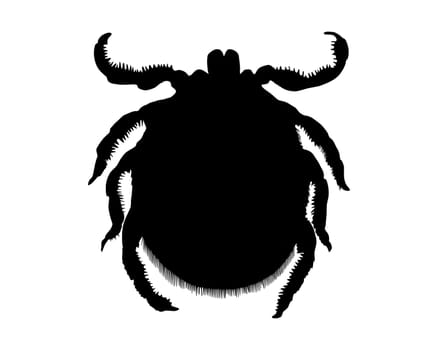 Tick on white background