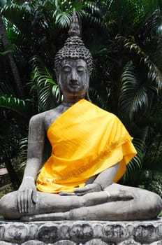 Budha statues in Ayutthaya