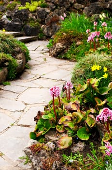 Spring garden