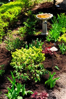 Spring garden