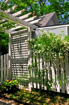 White trellis in a garden