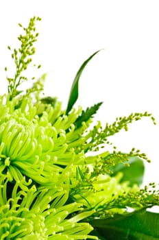 Flower arrangement