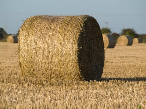 Bales of straw