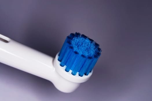 Toothbrush head