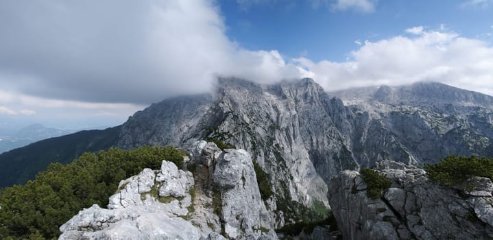 Alps panorama