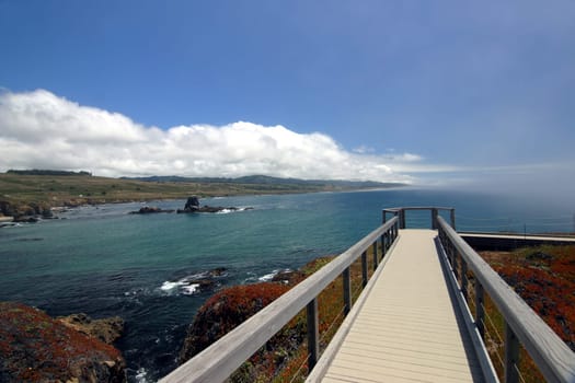 Jetty at Pigeon Point Light Station
