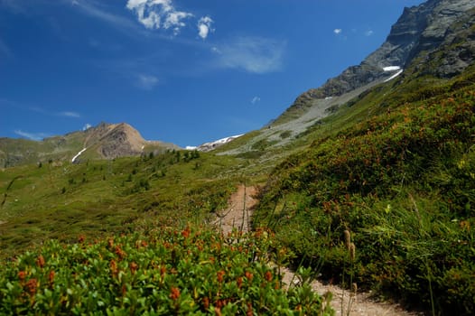 path to the mountain