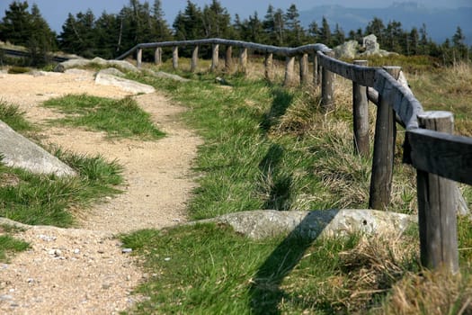 The Way1