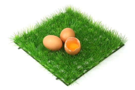 Decorative Eggs