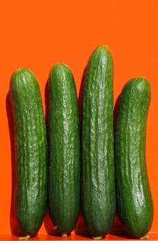 Cucumbers