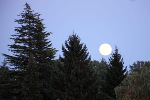 Full moon