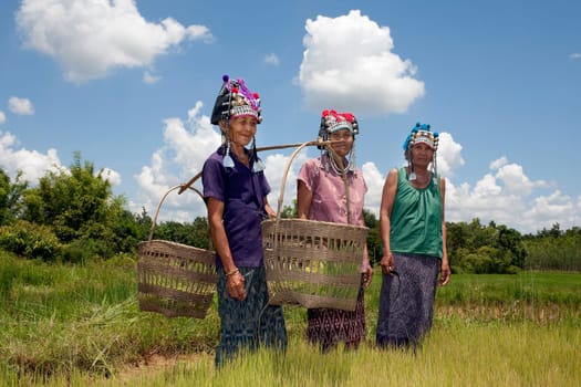 Asian women at rice field,Akha