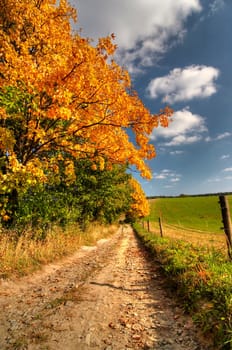 country road and autumn rural landscape