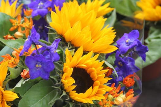 Sunflower bouquet