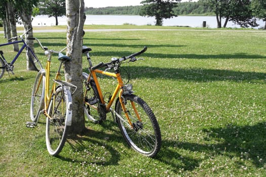 A pair of bicycles in a park