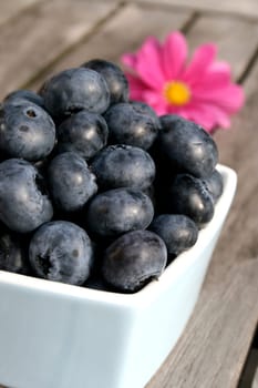 Blueberries