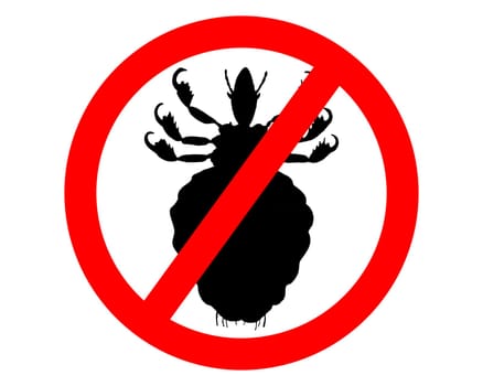 Prohibition sign for lice on white background