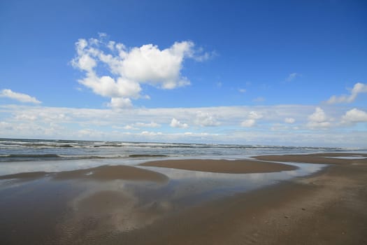 Sunny beach landscape