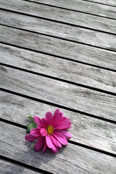 Alone