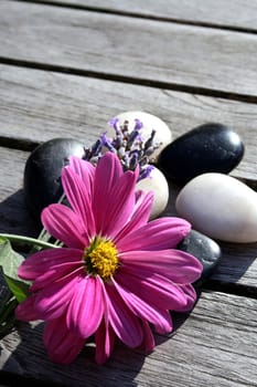 Floral decoration
