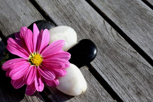 Floral decoration
