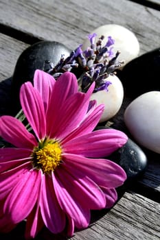 Floral decoration