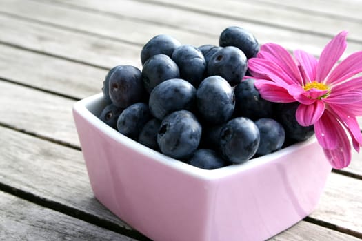 Blueberries