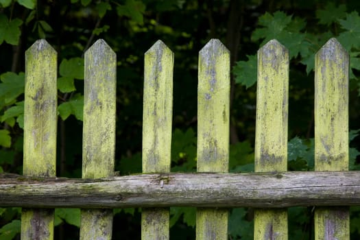 Old wooden garden fence in cottage garden