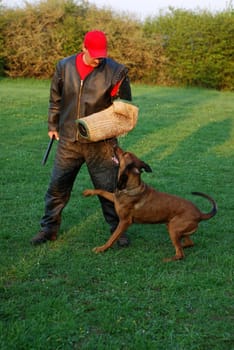Schutzhund Training