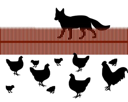 Fox wants chicken for dinner