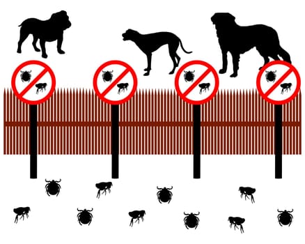 Dogs behind fence to cheat