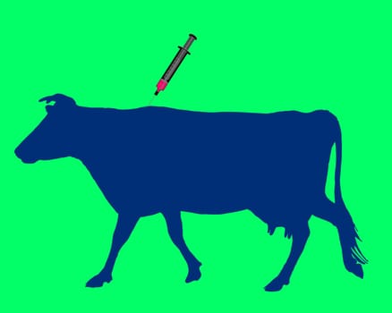 Cow gets vaccination against bluetongue disease