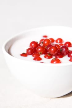 yogurt and red currant