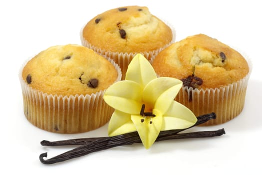 Vanilla muffins