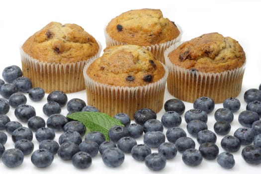 Blueberry Muffins