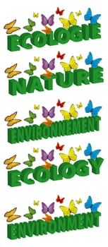 ecology and environment