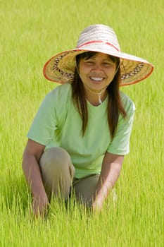 Asian woman at rice field,Thailand