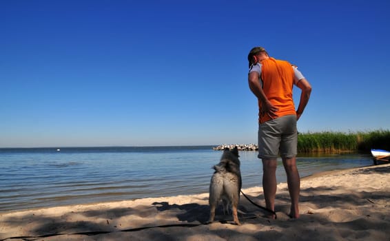 Dog Beach Dog Holidays