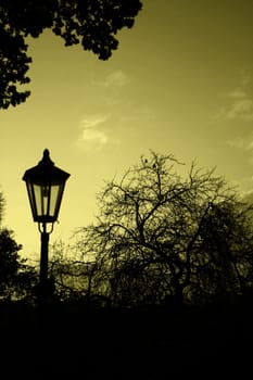 Silhouettes