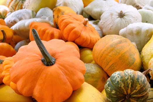A load of pumpkins