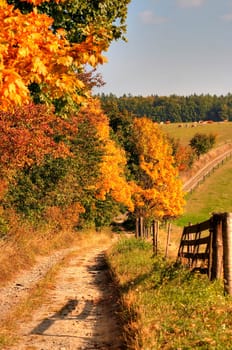 country road and autumn landscape